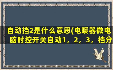 自动挡2是什么意思(电暖器微电脑时控开关自动1，2，3，档分别代表几点)