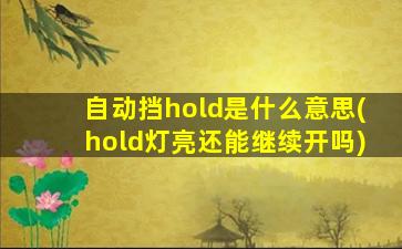 自动挡hold是什么意思(hold灯亮还能继续开吗)