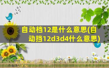 自动档12是什么意思(自动挡12d3d4什么意思)