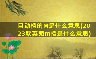 自动档的M是什么意思(2023款英朗m挡是什么意思)