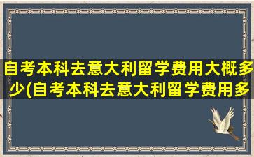 自考本科去意大利留学费用大概多少(自考本科去意大利留学费用多少钱)