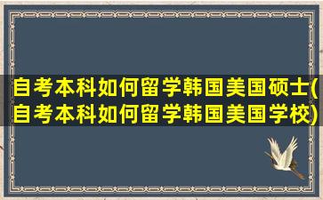 自考本科如何留学韩国美国硕士(自考本科如何留学韩国美国学校)