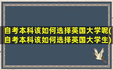 自考本科该如何选择英国大学呢(自考本科该如何选择英国大学生)