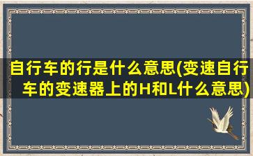 自行车的行是什么意思(变速自行车的变速器上的H和L什么意思)