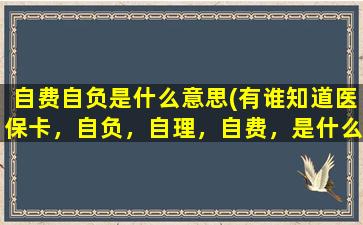 自费自负是什么意思(有谁知道医保卡，自负，自理，自费，是什么意思)