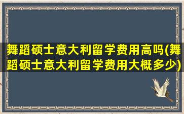 舞蹈硕士意大利留学费用高吗(舞蹈硕士意大利留学费用大概多少)