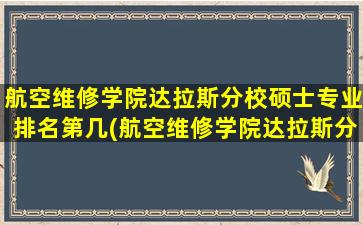 航空维修学院达拉斯分校硕士专业排名第几(航空维修学院达拉斯分校硕士专业排名多少)