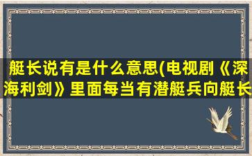 艇长说有是什么意思(电视剧《深海利剑》里面每当有潜艇兵向艇长报告之后，艇长都会说“有)