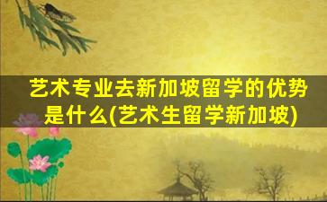 艺术专业去新加坡留学的优势是什么(艺术生留学新加坡)