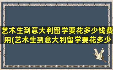 艺术生到意大利留学要花多少钱费用(艺术生到意大利留学要花多少钱一年)