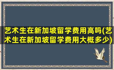 艺术生在新加坡留学费用高吗(艺术生在新加坡留学费用大概多少)