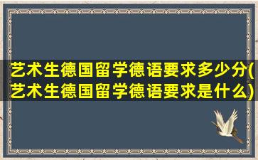 艺术生德国留学德语要求多少分(艺术生德国留学德语要求是什么)