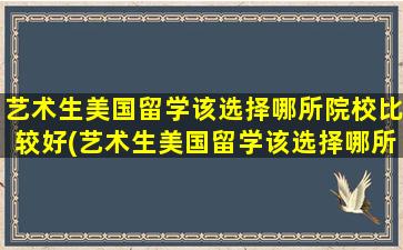 艺术生美国留学该选择哪所院校比较好(艺术生美国留学该选择哪所院校呢)