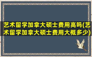 艺术留学加拿大硕士费用高吗(艺术留学加拿大硕士费用大概多少)