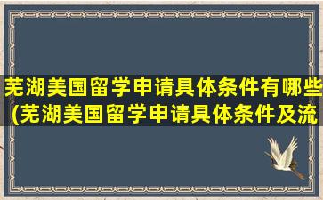 芜湖美国留学申请具体条件有哪些(芜湖美国留学申请具体条件及流程)