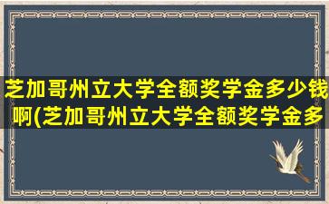 芝加哥州立大学全额奖学金多少钱啊(芝加哥州立大学全额奖学金多少钱一个月)