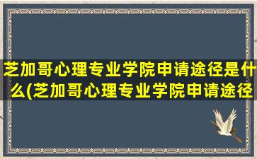 芝加哥心理专业学院申请途径是什么(芝加哥心理专业学院申请途径是什么样的)