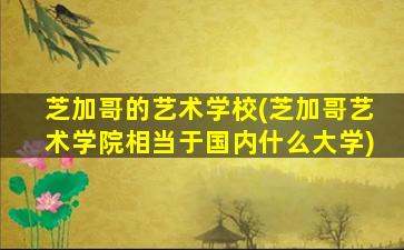 芝加哥的艺术学校(芝加哥艺术学院相当于国内什么大学)