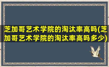 芝加哥艺术学院的淘汰率高吗(芝加哥艺术学院的淘汰率高吗多少)