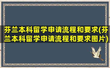 芬兰本科留学申请流程和要求(芬兰本科留学申请流程和要求图片)