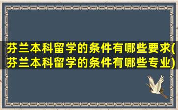 芬兰本科留学的条件有哪些要求(芬兰本科留学的条件有哪些专业)