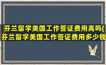 芬兰留学美国工作签证费用高吗(芬兰留学美国工作签证费用多少钱)