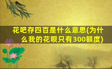 花吧存四百是什么意思(为什么我的花呗只有300额度)