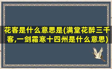 花客是什么意思是(满堂花醉三千客,一剑霜寒十四州是什么意思)