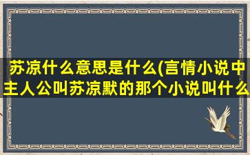 苏凉什么意思是什么(言情小说中主人公叫苏凉默的那个小说叫什么名字)