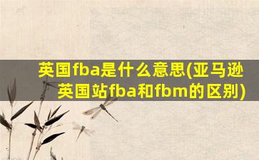 英国fba是什么意思(亚马逊英国站fba和fbm的区别)