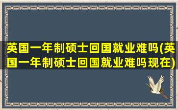 英国一年制硕士回国就业难吗(英国一年制硕士回国就业难吗现在)