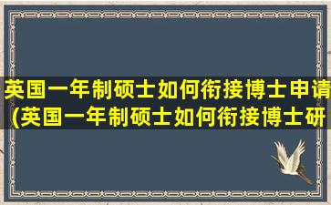 英国一年制硕士如何衔接博士申请(英国一年制硕士如何衔接博士研究生)