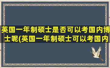 英国一年制硕士是否可以考国内博士呢(英国一年制硕士可以考国内博士吗)