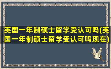 英国一年制硕士留学受认可吗(英国一年制硕士留学受认可吗现在)