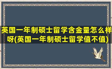 英国一年制硕士留学含金量怎么样呀(英国一年制硕士留学值不值)