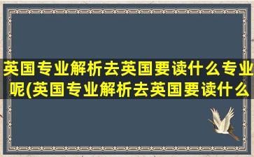 英国专业解析去英国要读什么专业呢(英国专业解析去英国要读什么专业书)