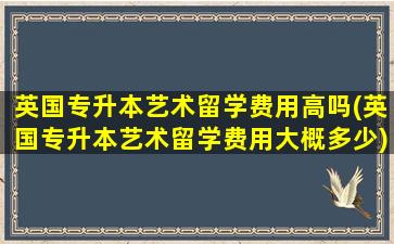 英国专升本艺术留学费用高吗(英国专升本艺术留学费用大概多少)