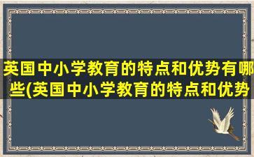 英国中小学教育的特点和优势有哪些(英国中小学教育的特点和优势论文)