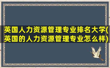 英国人力资源管理专业排名大学(英国的人力资源管理专业怎么样)