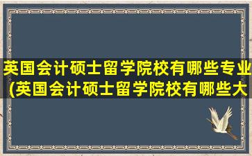 英国会计硕士留学院校有哪些专业(英国会计硕士留学院校有哪些大学)