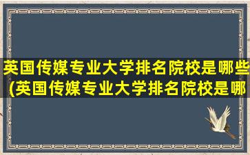 英国传媒专业大学排名院校是哪些(英国传媒专业大学排名院校是哪些专业)