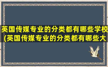 英国传媒专业的分类都有哪些学校(英国传媒专业的分类都有哪些大学)