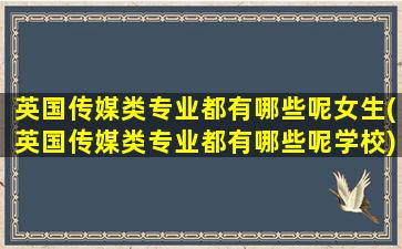 英国传媒类专业都有哪些呢女生(英国传媒类专业都有哪些呢学校)