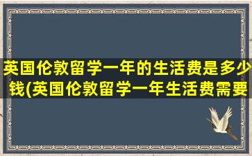 英国伦敦留学一年的生活费是多少钱(英国伦敦留学一年生活费需要多少)