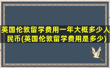 英国伦敦留学费用一年大概多少人民币(英国伦敦留学费用是多少)