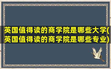 英国值得读的商学院是哪些大学(英国值得读的商学院是哪些专业)