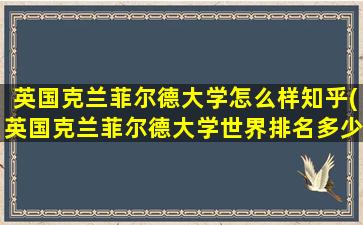 英国克兰菲尔德大学怎么样知乎(英国克兰菲尔德大学世界排名多少)