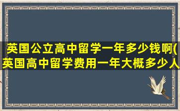 英国公立高中留学一年多少钱啊(英国高中留学费用一年大概多少人民币)