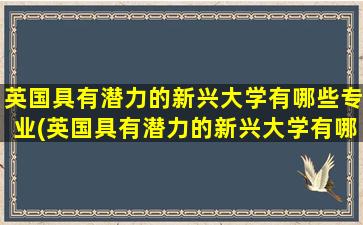 英国具有潜力的新兴大学有哪些专业(英国具有潜力的新兴大学有哪些名字)