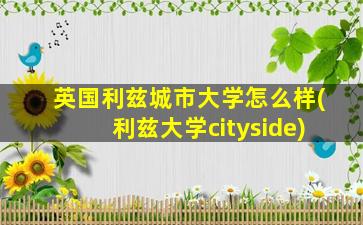 英国利兹城市大学怎么样(利兹大学cityside)